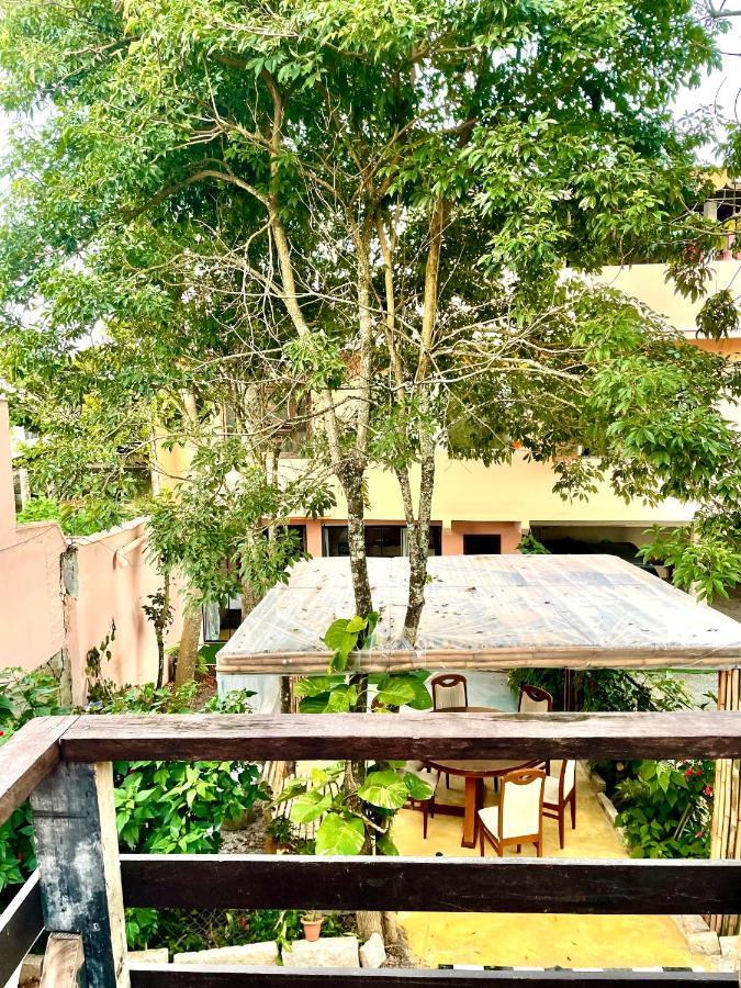 Hostel Pousada Happy Sao Francisco do Sul Exterior foto